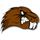 Lakeside High School logo