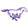 Central Arkansas Christian School logo