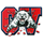 Cassadaga Valley High School logo
