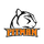 Pitman High School logo