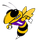 Iowa High School logo