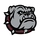 2024 CHSAA Girls Volleyball Regional Multi-team Event logo