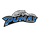 Peak To Peak High School logo