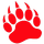 Chamberlain High School logo