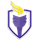 2021 VHSL Girls Volleyball Postseason Tournament Multi-team Event logo