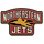 Northeastern logo