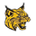 Seiling High School logo