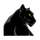 Pittsburg High School logo