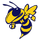 Moorefield High School logo