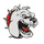 La Plata High School logo