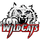 Holly High School logo