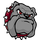 Bulkeley High School logo