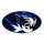 Stroud High School logo