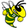 Damascus High School logo