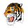 Ansonia High School logo