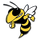 Hanover Park High School logo