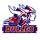 Dulles High School logo