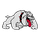 Colmesneil High School logo