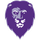 Lutheran High School logo