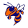 Roane County High School logo