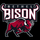 Bethel High School logo