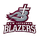 Green Bay N.E.W Lutheran High School logo
