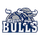 Hickory Ridge High School logo
