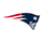 Freedom High School - Tampa logo