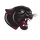 Parchment High School logo