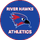 Owego Free Academy logo