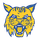 Miller City New Cleveland High School logo