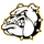 Cement High School logo