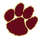 Cashion High School logo