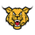 Edinburg High School logo