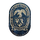 Southampton Academy logo