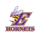 Elcho High School logo