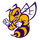 Chester High School logo