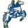 Sioux Valley High School logo