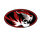 Canton High School logo