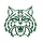 Plainfield Central High School logo