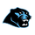Paetow High School logo