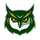 Dundalk High School logo