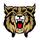 Brookings High School logo