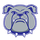 Bunnell High School logo