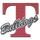 Terry High School logo