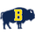 Buffalo High School logo