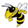 Hanover High School logo