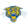 Somonauk High School logo
