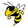 Hayesville High School logo