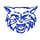 Dallastown Area High School logo